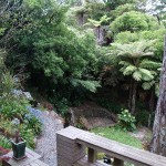 upload_207 upload_207